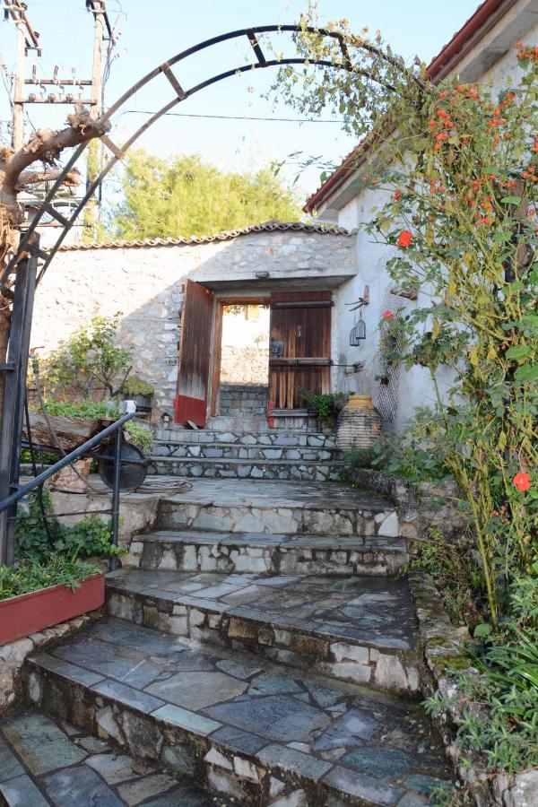 Giorgos' & Noula's In Village- Near Delphi Desfina