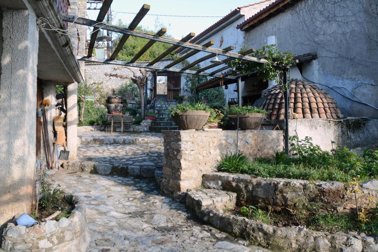 Giorgos' & Noula's In Village- Near Delphi Dağ evi