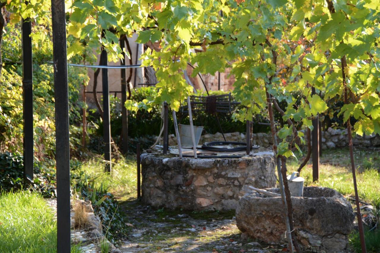 Giorgos' & Noula's In Village- Near Delphi Desfina